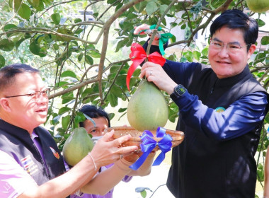 ลงพื้นที่ตรวจเยี่ยมและติดตามการดำเนินงานของศูนย์เรียนรู้การปลูกส้มโอทับทิมสยามบ้านแสงวิมานตำบลคลองน้อย อำเภอปากพนัง จังหวัดนครศรีธรรมราช โดยนายชวกิจจ์ สุวรรณคีรี รองผู้ว่าราชการจังหวัดนครศรีธรรมราช กล่าวต้อนรับพร้อมนายวิศิษฐ์ ศรีสุวรรณ์ อธิบดีกรมส่งเสริม ... พารามิเตอร์รูปภาพ 26